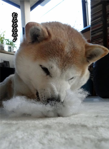 22日ブログ2.jpg