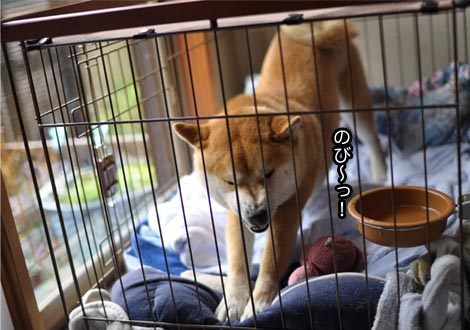 23日ブログ8.jpg