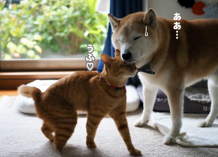 24日夕ブログ５