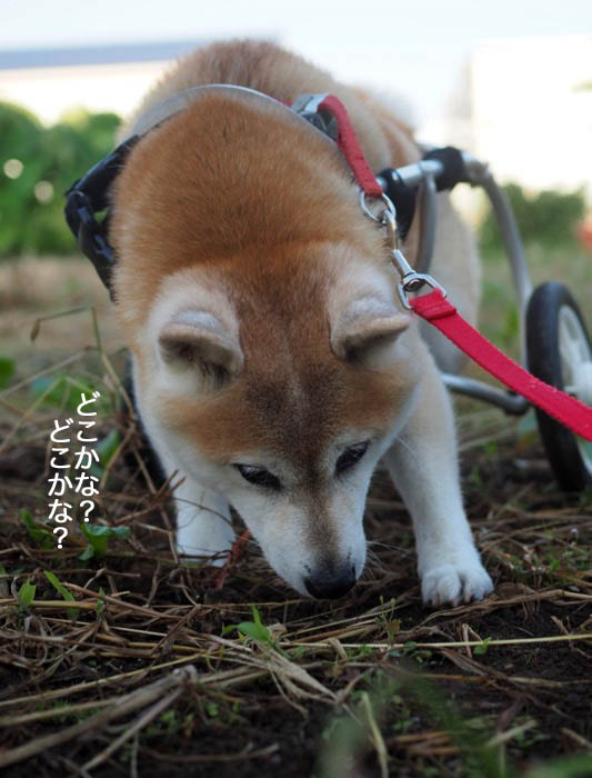 24日夕ブログ５