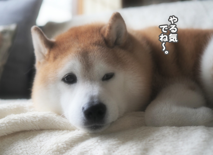 23日ブログ２