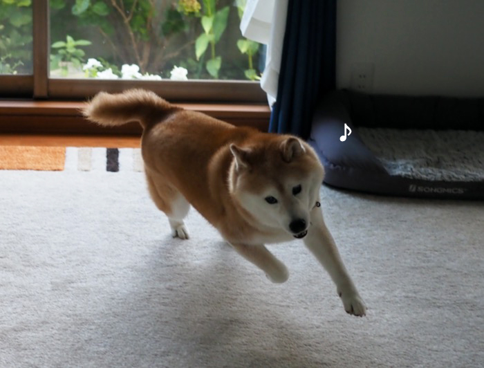 5日夕ブログ２