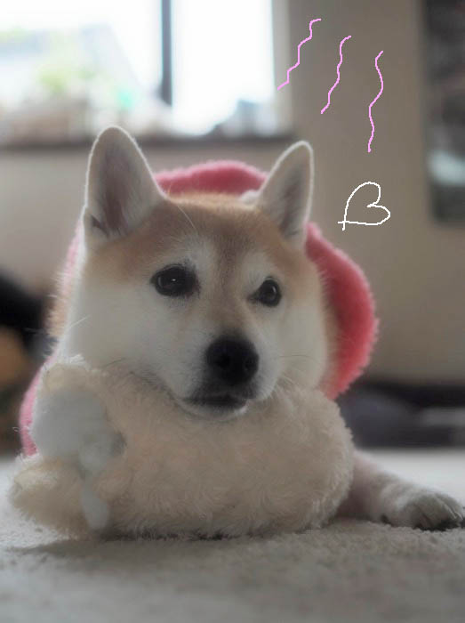 2日夜ブログ２