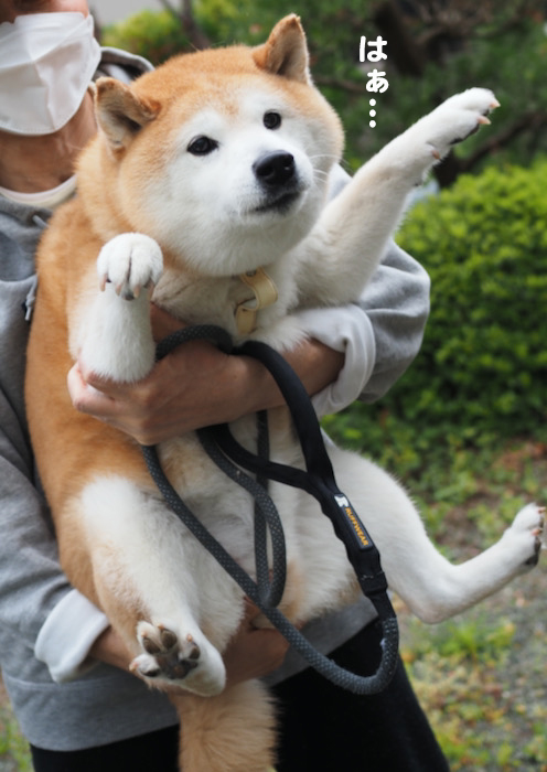 20日ブログ１１