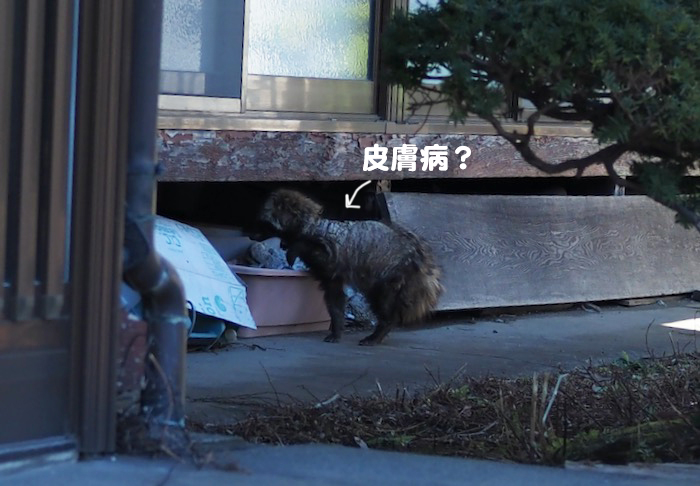 3日ブログ４