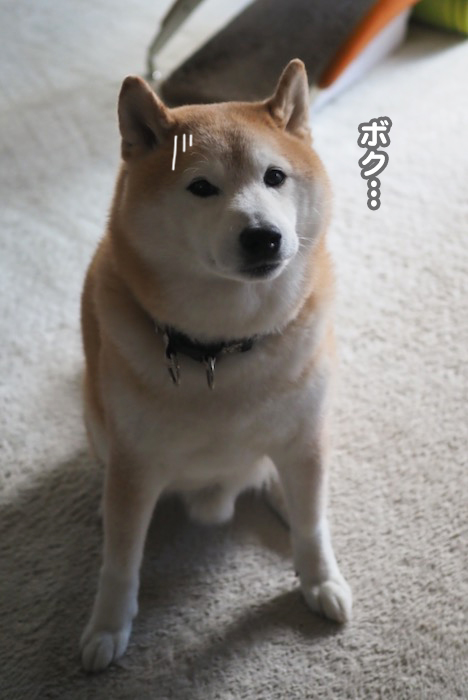 24日夕ブログ８
