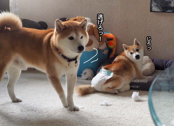 4日夜ブログ８