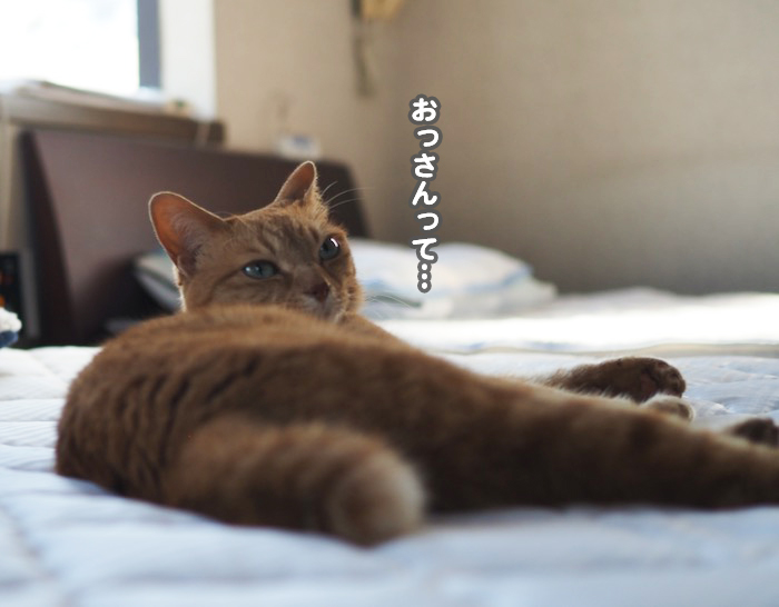 17日夕ブログ13