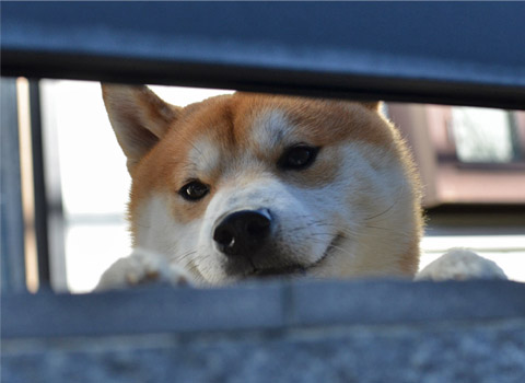 28日ブログ14.jpg