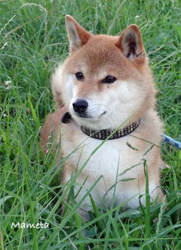 27日ブログ10.jpg