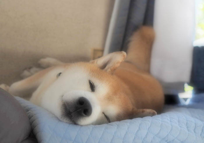 10日朝ブログ１
