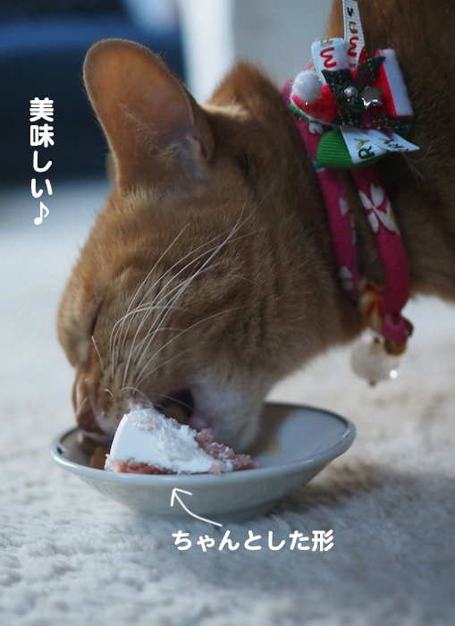 26日夕ブログ１２