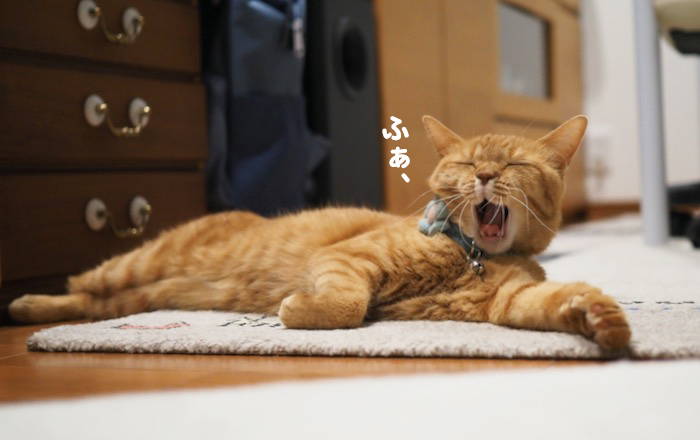 29日ブログ３