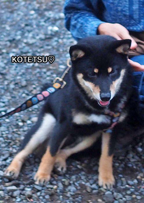 27日夕ブログ３