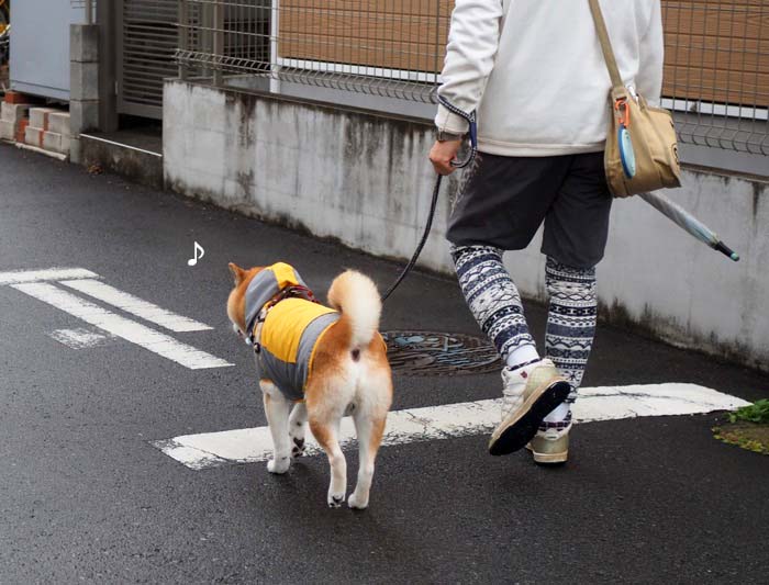 13日夜ブログ７