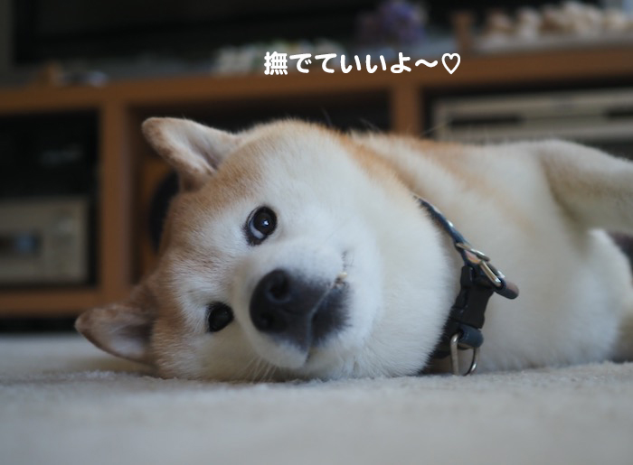 3日夜ブログ３