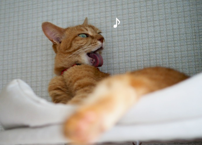 5日夕ブログ７