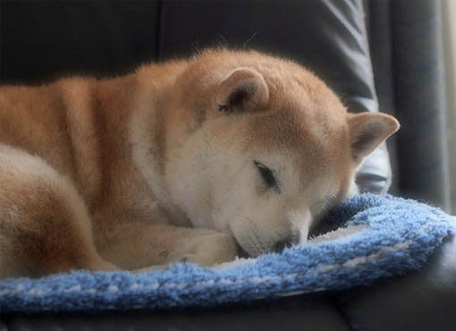 26日ブログ６.jpg