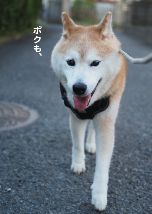 29日夜ブログ４