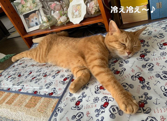 2日夕ブログ８