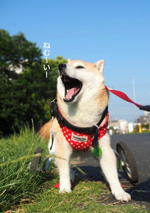 9日ブログ５