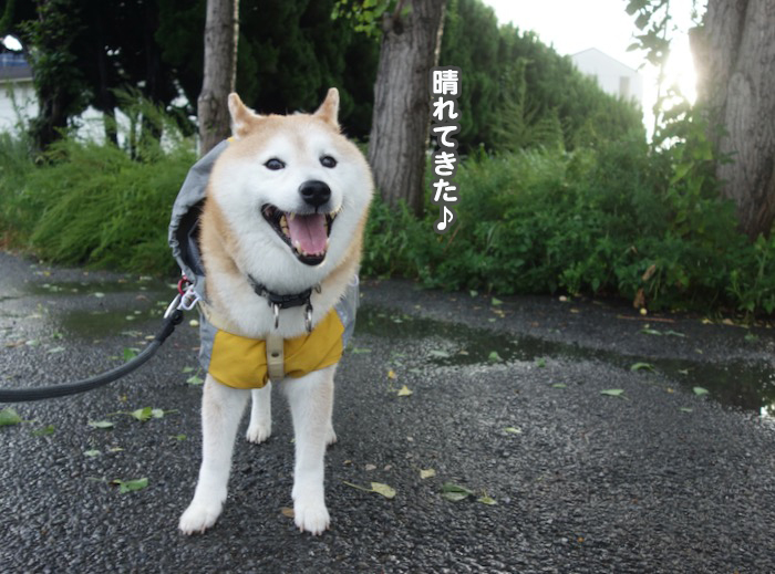 16日夜ブログ５