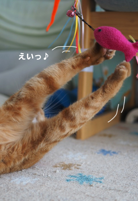 10日夕ブログ４