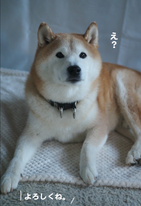 13日ブログ４