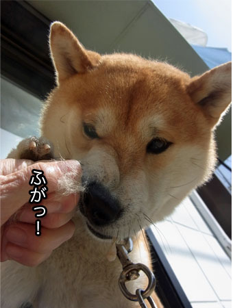 19日ブログ１１.jpg