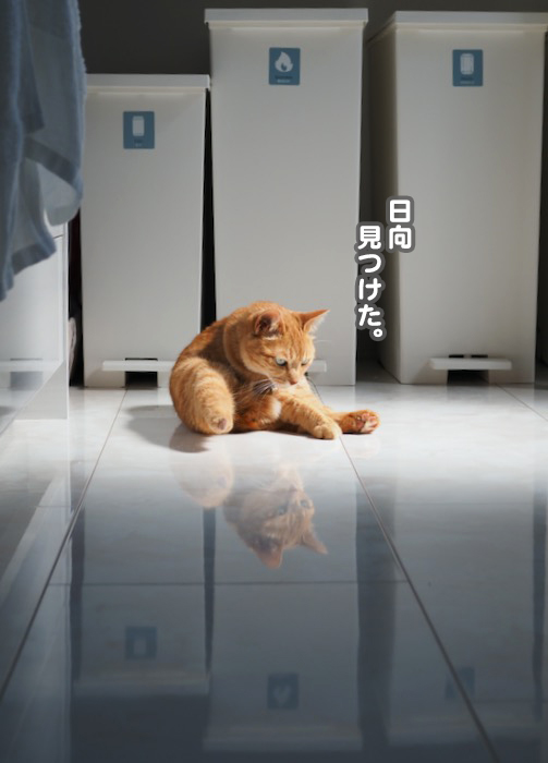 19日夕ブログ２