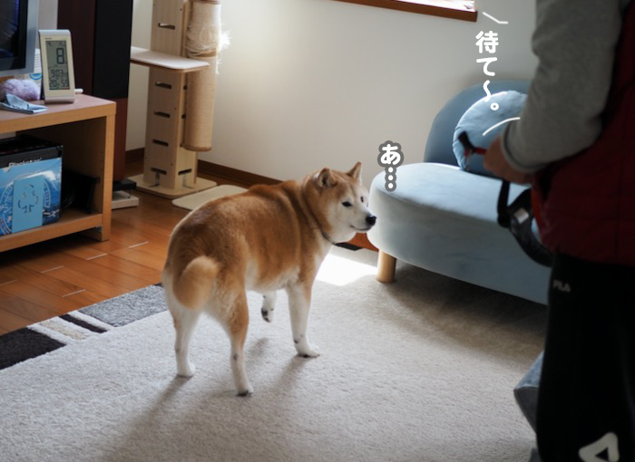 8日ブログ５