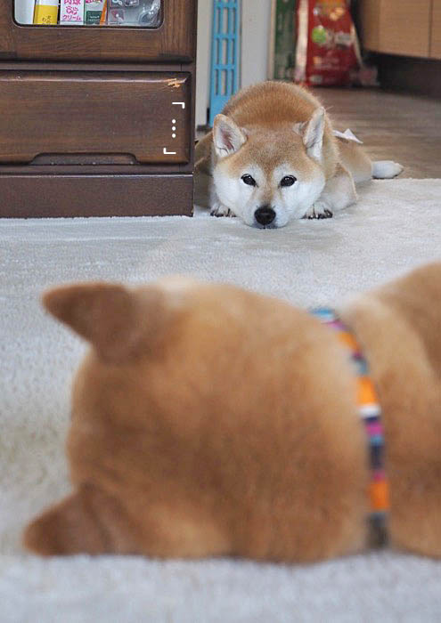 26日ブログ７