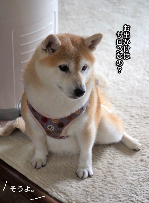 15日夕ブログ４
