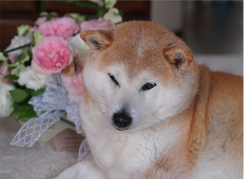 30日ブログ4.jpg