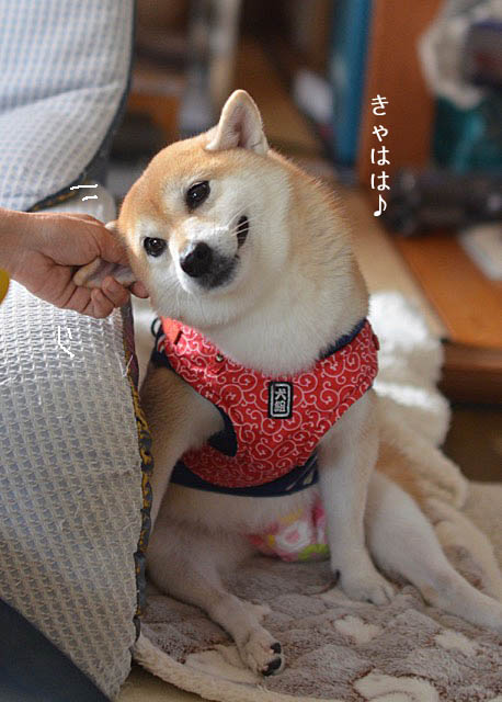 29日ブログ3