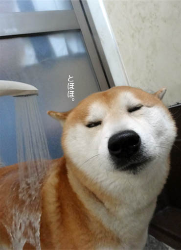 18日ブログ９.jpg