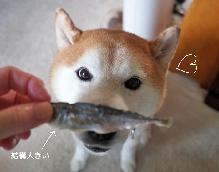 16日夕ブログ２