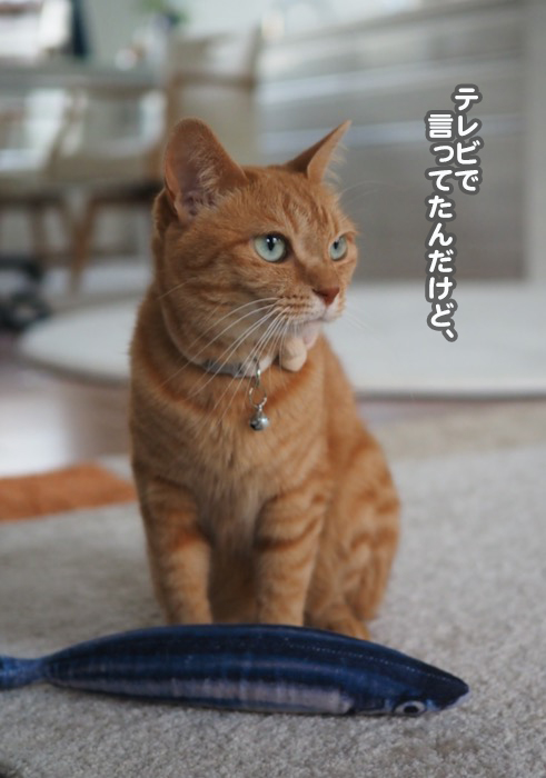 20日ブログ１