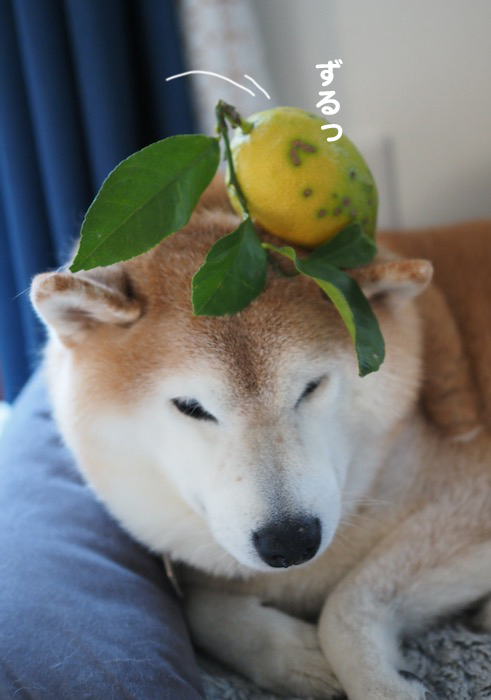7日夕ブログ８