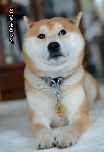 9日ブログ9.jpg