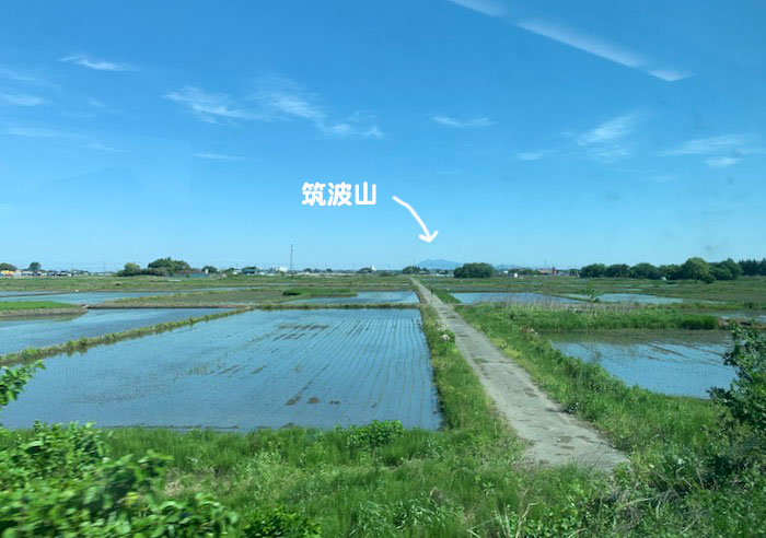 5日夕ブログ１