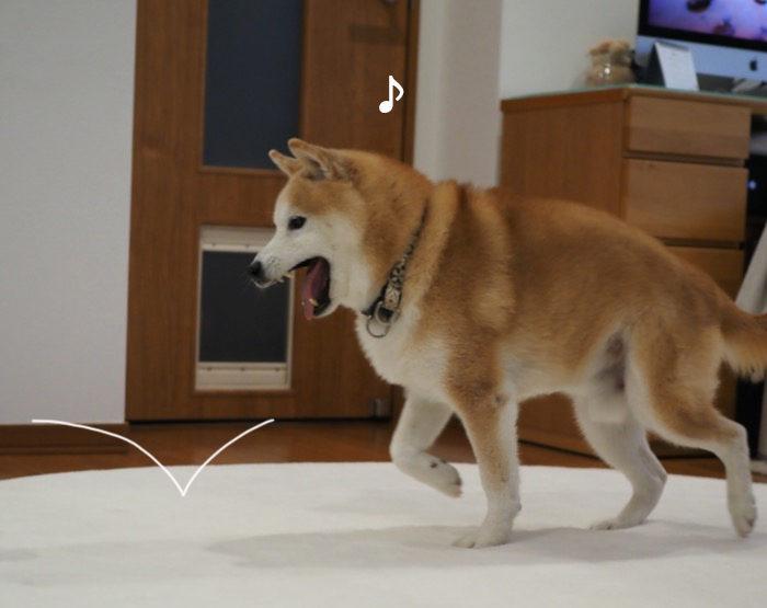 15日夜ブログ６