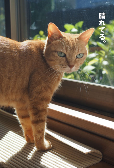 14日ブログ１