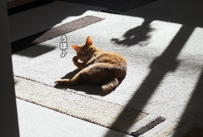 12日夕ブログ２