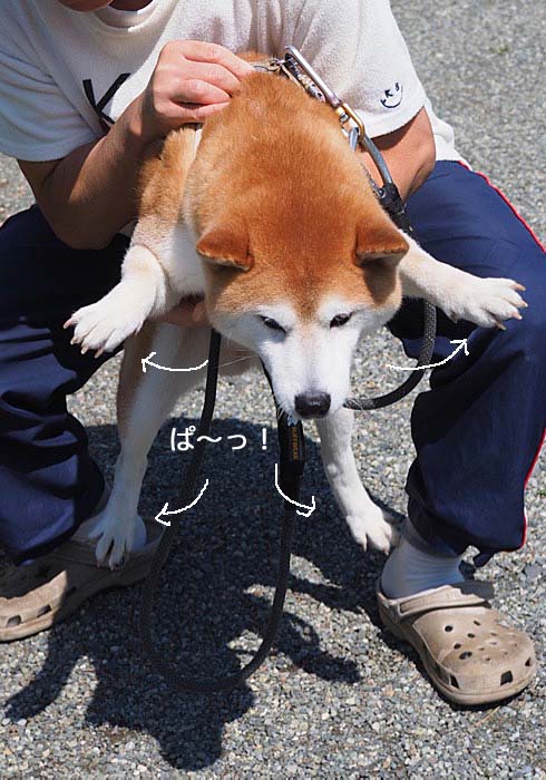 13日ブログ13