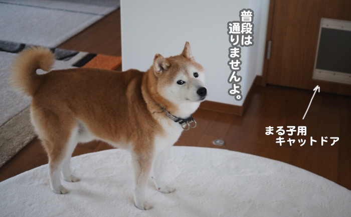 23日夕ブログ３