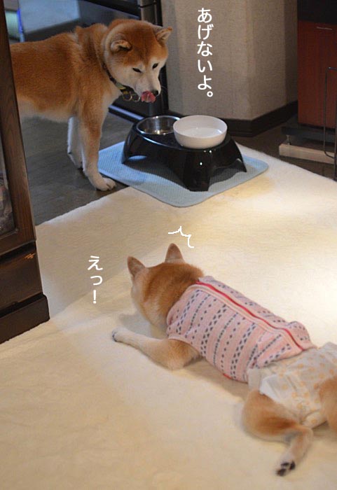 17日ブログ６