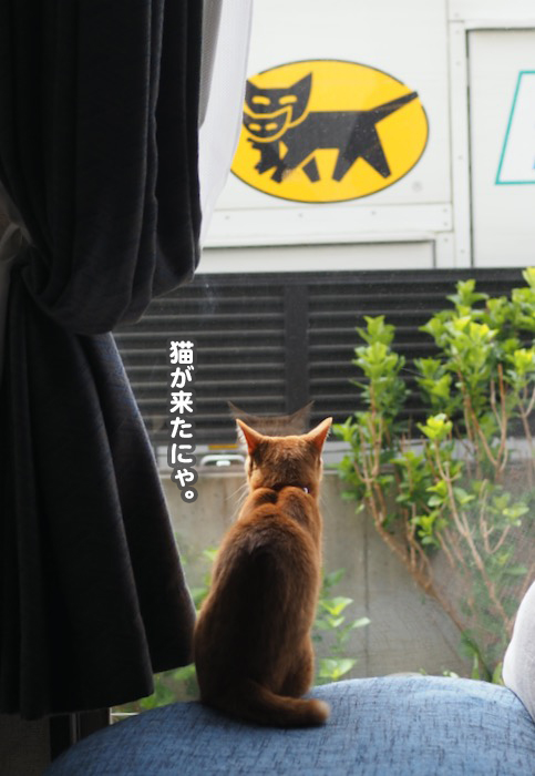 14日夕ブログ１