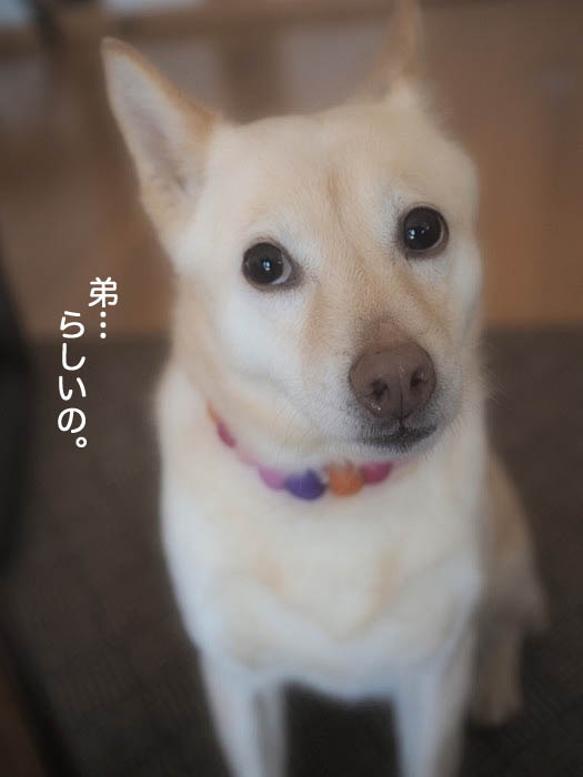 5日夜ブログ2