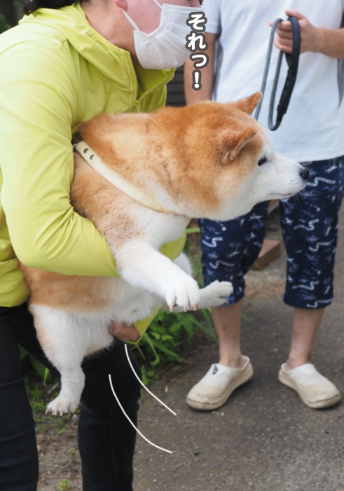 20日夕ブログ８